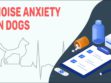 Noise Anxiety In Dogs