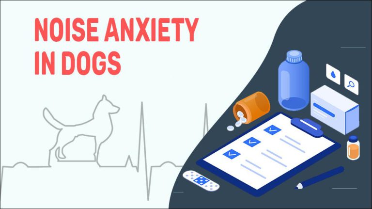 Image showcasing Noise Anxiety In Dogs - Types & Treatments - Petmoo