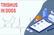 Trismus In Dogs
