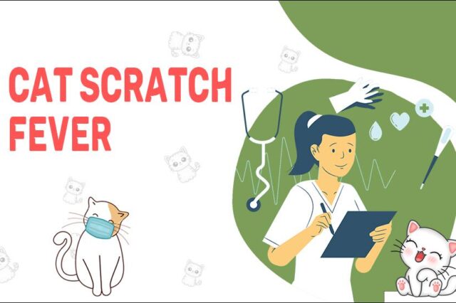 Cat Scratch Fever