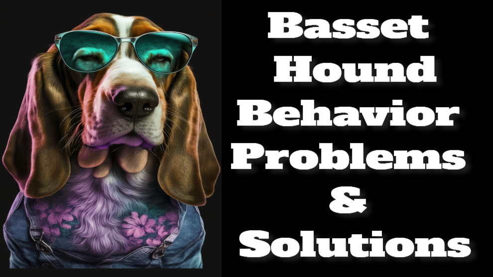 Basset Hound Behavior Problems and Solutions