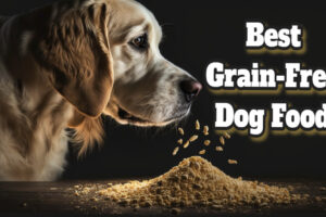 Best Grain Free Dog Food