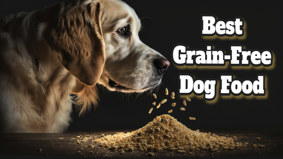 Best Grain Free Dog Food