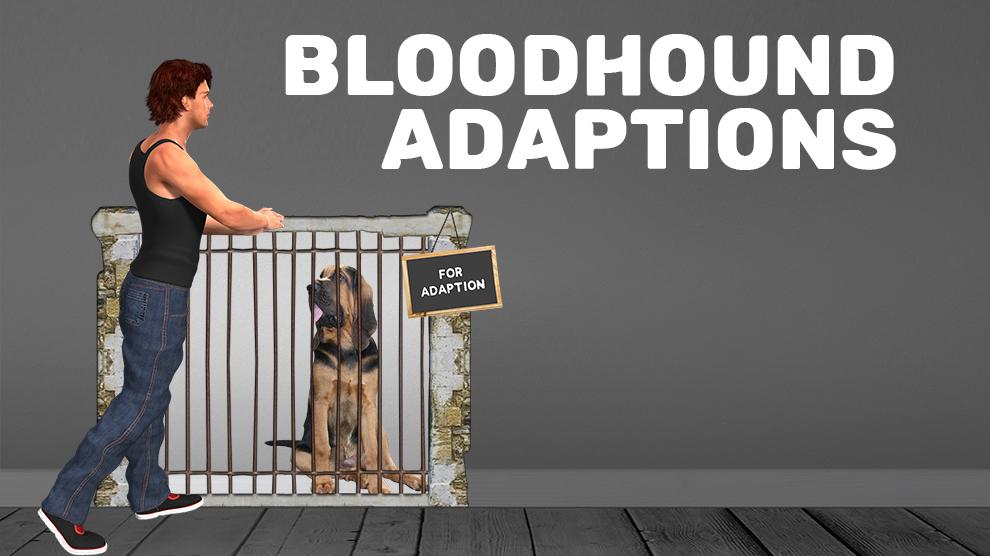 Bloodhound Adaptions