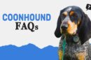 Coonhound FAQs