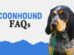 Coonhound FAQs