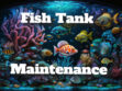 Fish Tank Maintenance