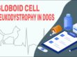 Globoid Cell Leukodystrophy In Dogs
