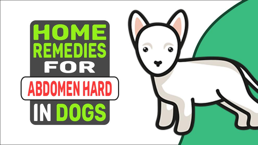 Home Remedies For Abdomen Hard In Dogs
