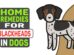 Home Remedies For Blackheads In Dogs