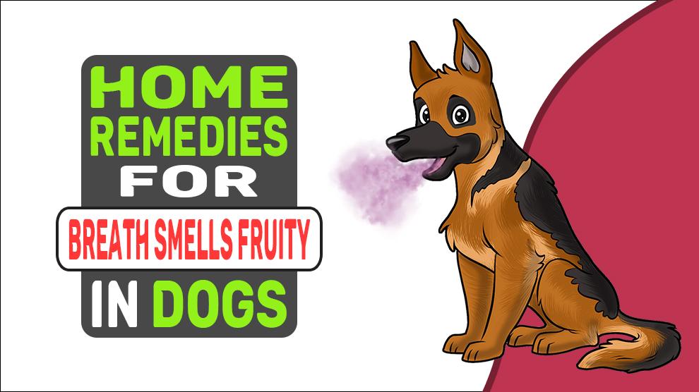 Home Remedies For Breath Smells Fruity In Dogs