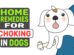 Home Remedies For Choking In Dogs