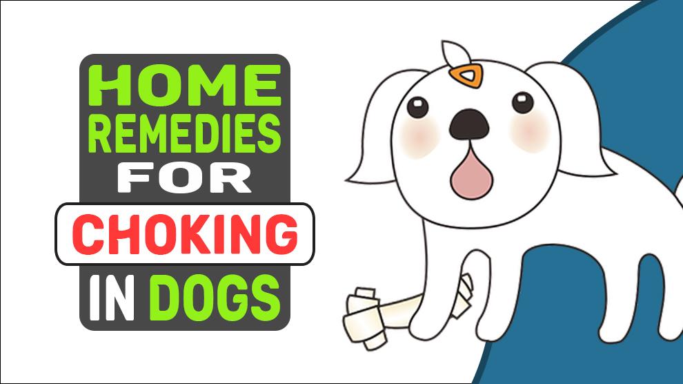 Home Remedies For Choking In Dogs