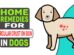 Home Remedies For Circular Crust On Skin In Dogs