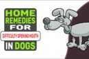 Home Remedies For Difficulty Opening Mouth In Dogs