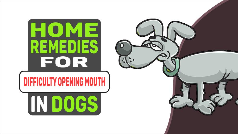 Home Remedies For Difficulty Opening Mouth In Dogs
