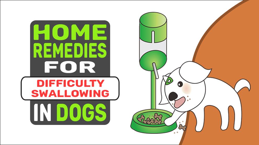 Home Remedies For Difficulty Swallowing In Dogs