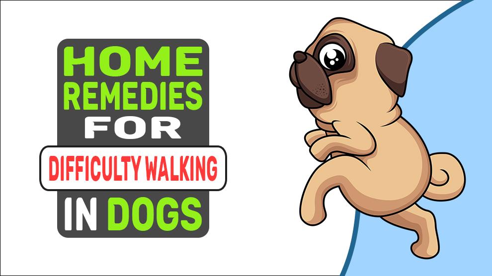 Home Remedies For Difficulty Walking In Dogs