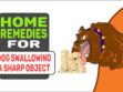 Home Remedies For Dog Swallowing A Sharp Object