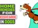 Home Remedies For Excessive Barking In Dogs