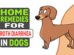 Home Remedies For Froth Diarrhea In Dogs