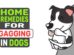 Home Remedies For Gagging In Dogs