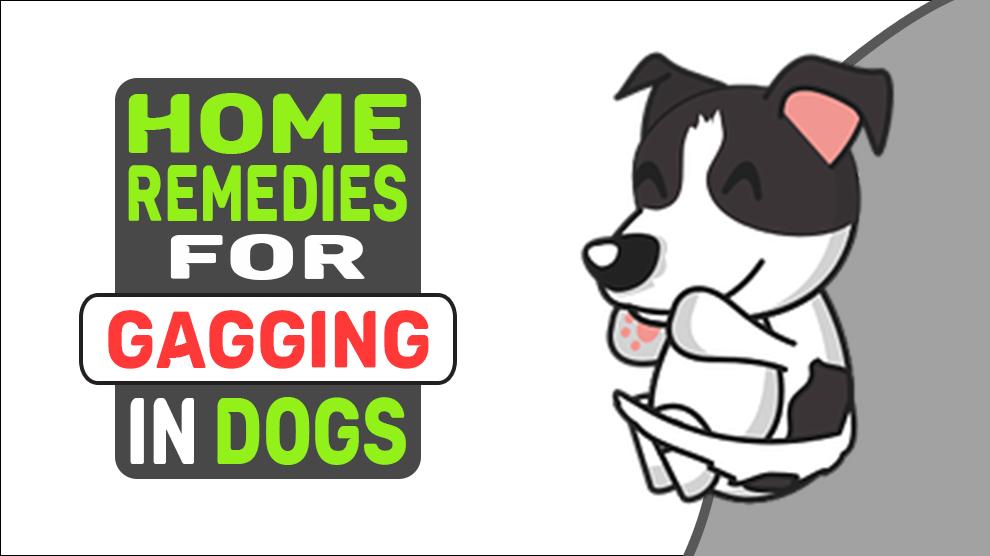 Home Remedies For Gagging In Dogs