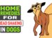 Home Remedies For Head Shaking In Dogs