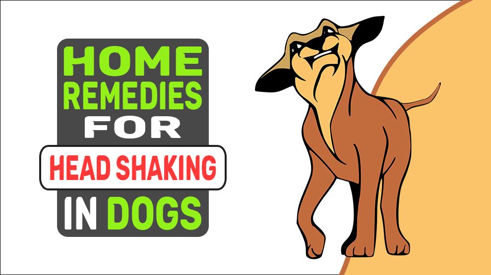 Home Remedies For Head Shaking In Dogs