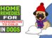 Home Remedies For Hypersensitive To Cold In Dogs