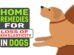 Home Remedies For Loss Of Skin Elasticity In Dogs