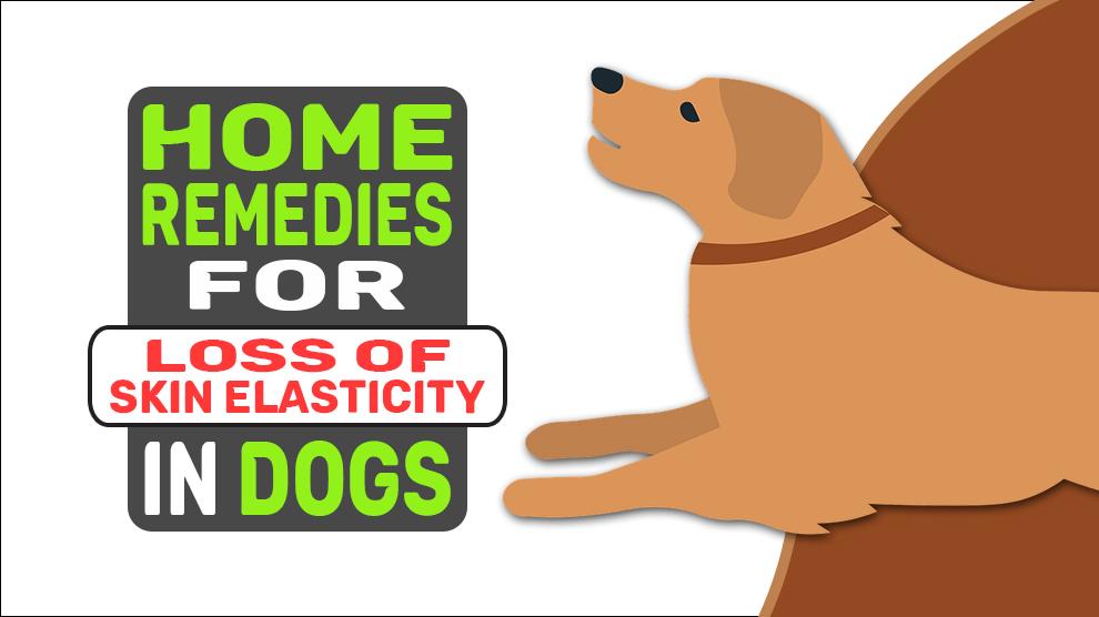 Home Remedies For Loss Of Skin Elasticity In Dogs
