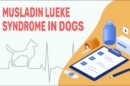 Musladin Lueke Syndrome In Dogs