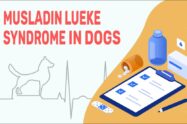 Musladin Lueke Syndrome In Dogs