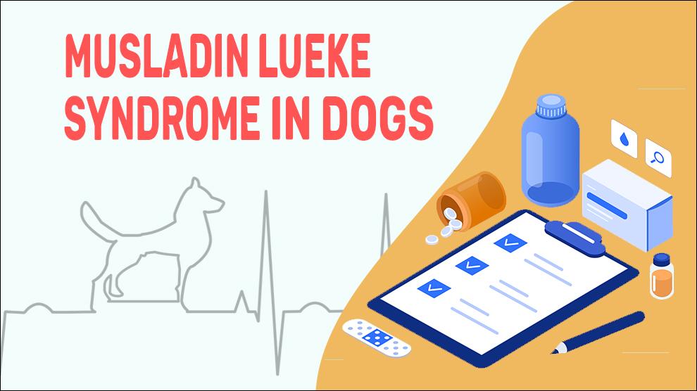 Musladin Lueke Syndrome In Dogs