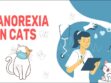 Anorexia In Cats