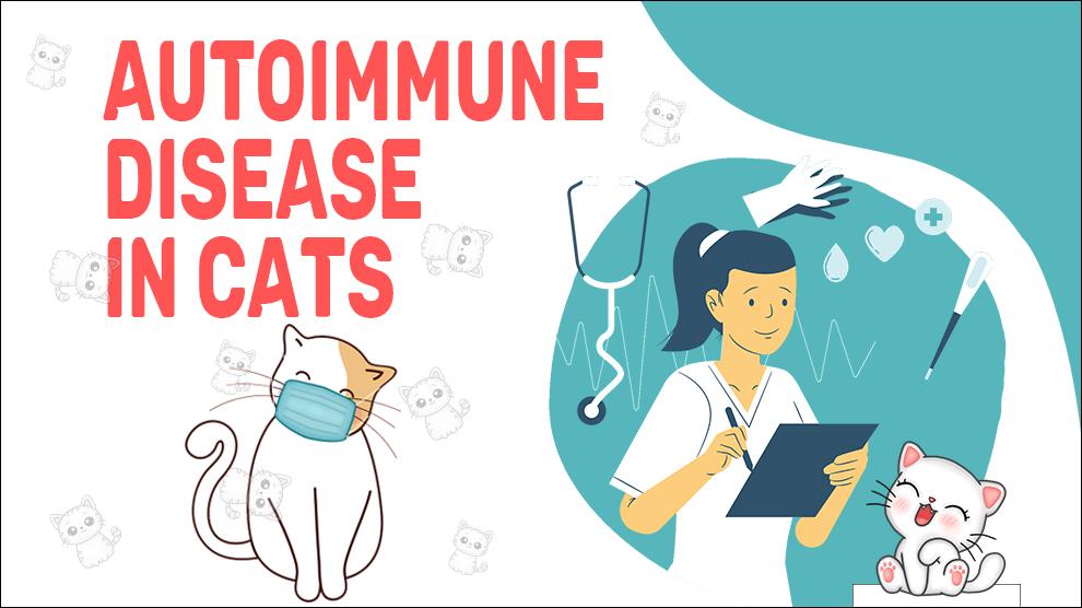 Autoimmue Disease In Cats
