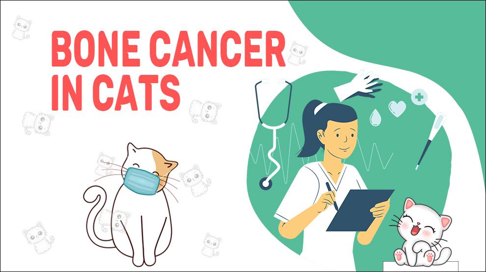 Bone Cancer in Cats
