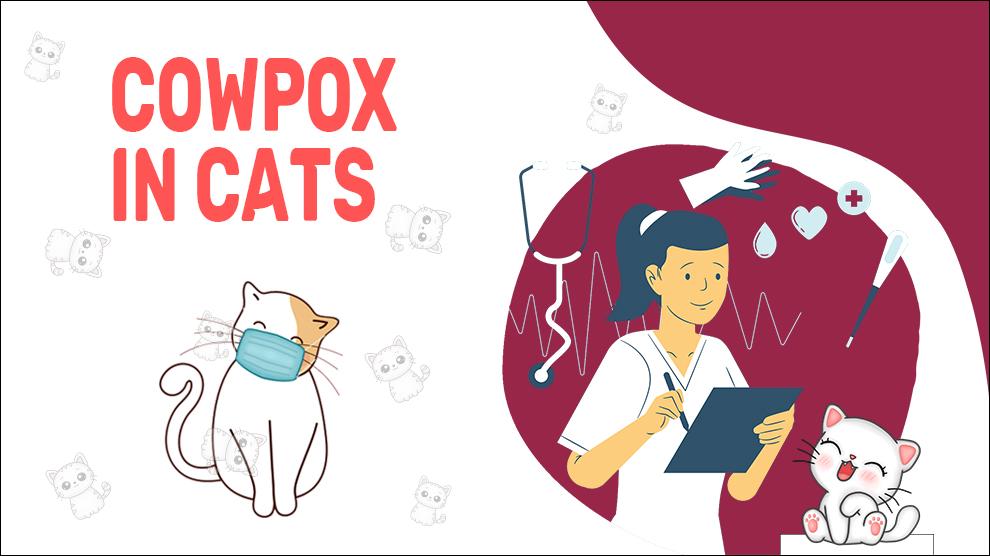 Cowpox In Cats