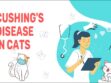 Cushing's Disease In Cats
