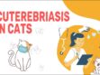 Cuterebriasis In Cats