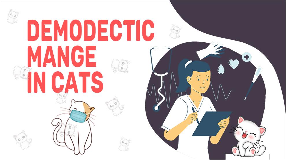 Demodectic Manges In Cats