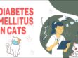 Diabetes Mellitus In Cats