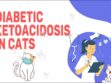 Diabetic Ketoacidosis In Cats
