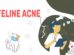 Feline Acne