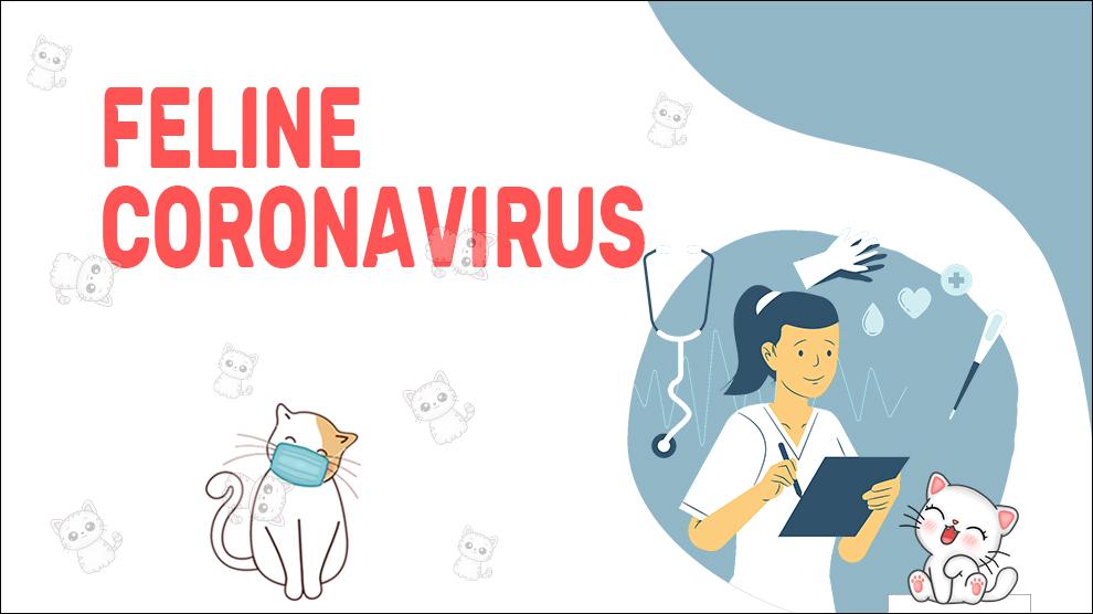 Feline Coronavirus