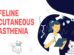 Feline Cutaneous Asthenia