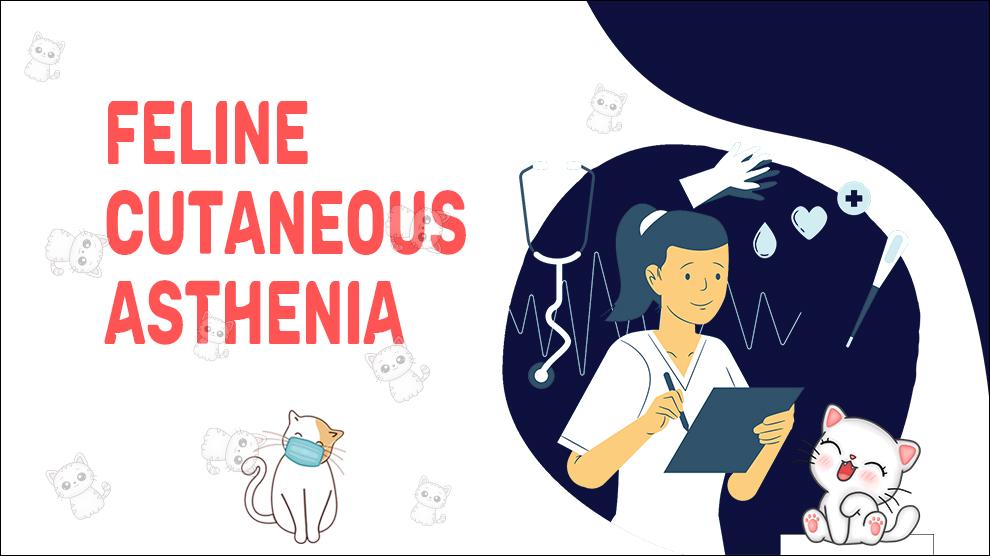 Feline Cutaneous Asthenia