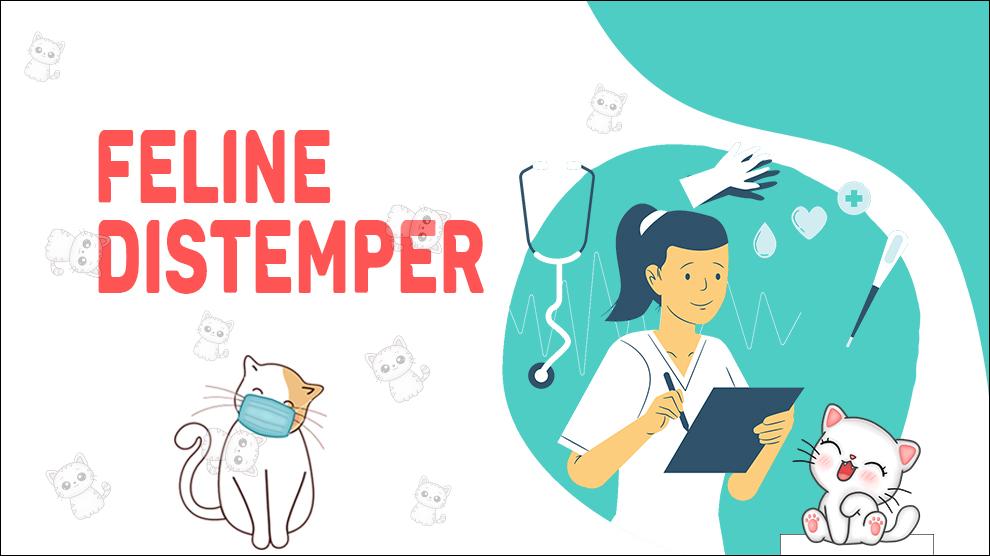 Feline Distemper