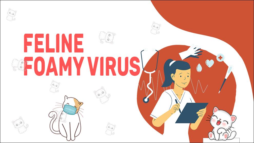 Feline Foamy Virus
